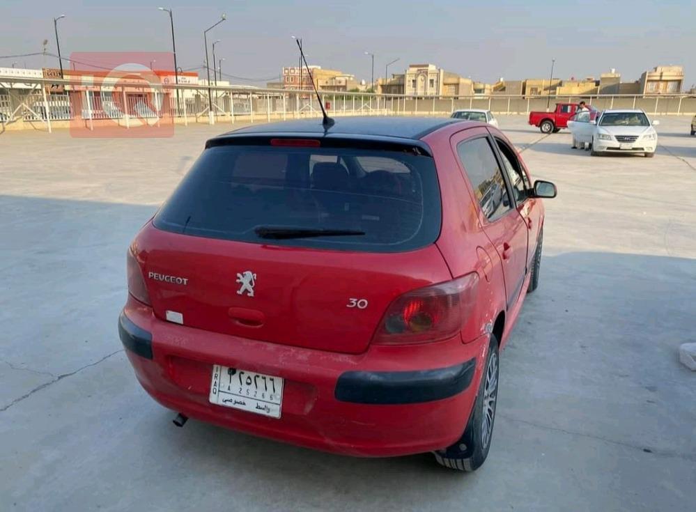 بیجۆ 307